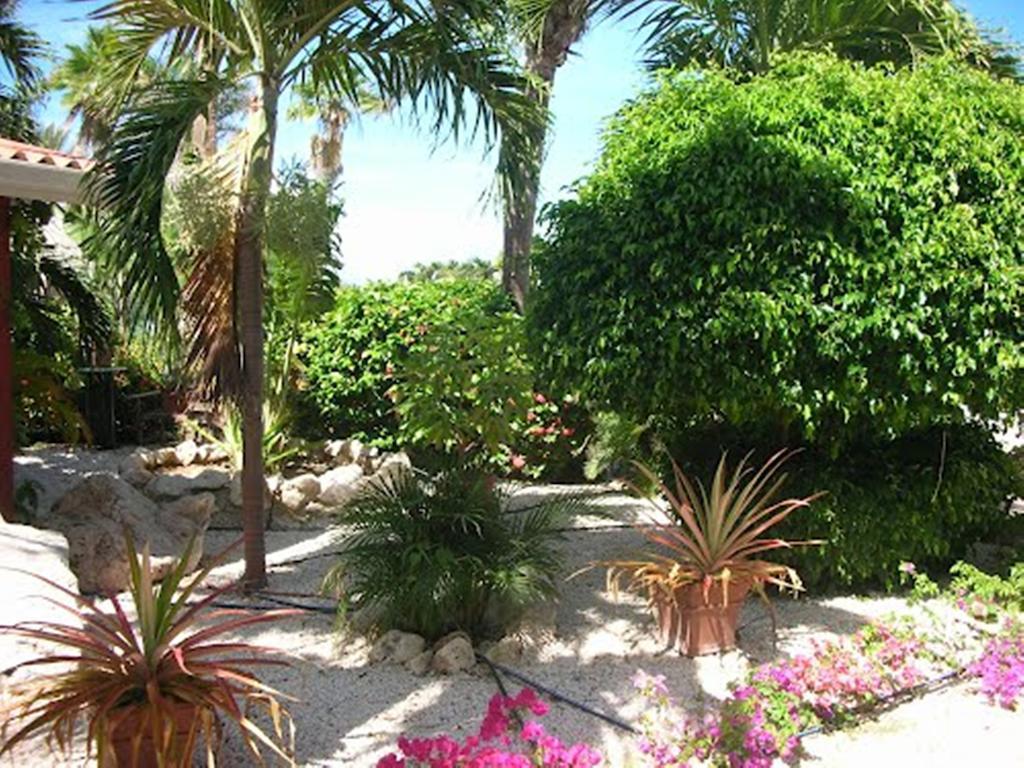 Seru Coral Resort Studio 16 Willemstad Exterior foto